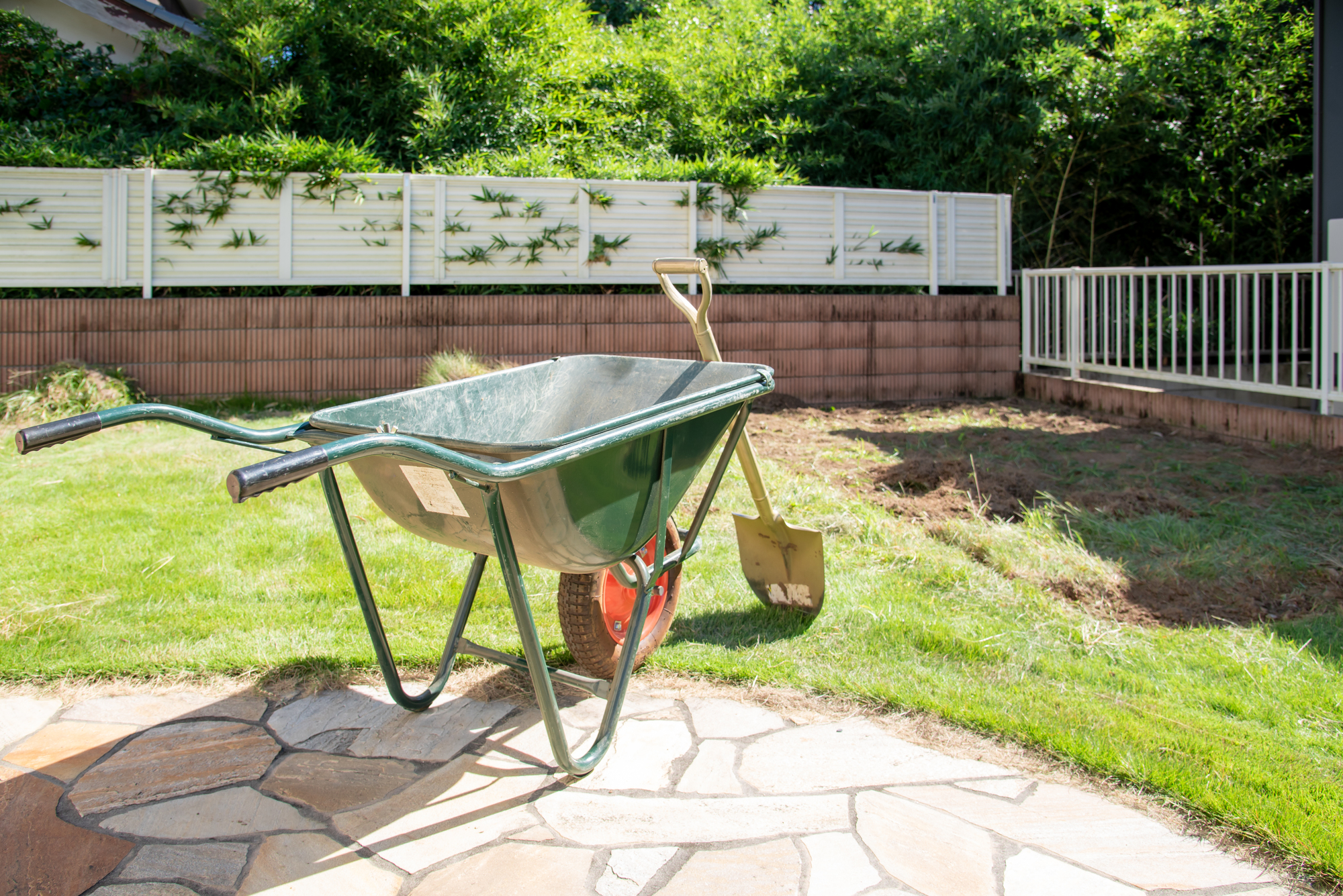 天然芝を適切な管理方法や維持にかかる費用について解説！ - 千葉県市原市の人工芝施工店【MORAVIA】